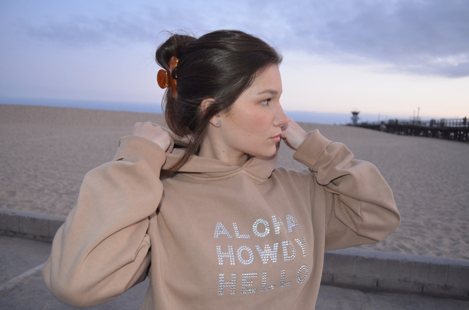 Aloha Howdy Hello Hoodie