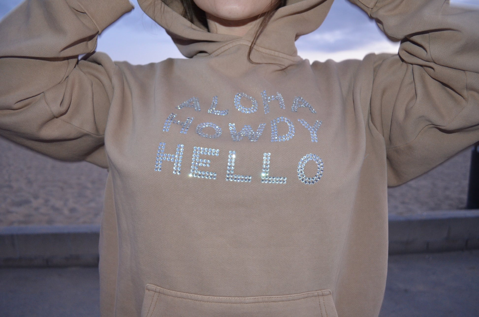 Aloha Howdy Hello Hoodie